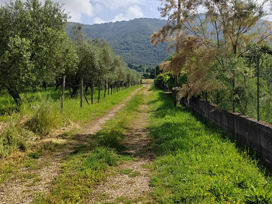 Immagine 83 di Villa in vendita  in Via Anime Sante 1 a Bassiano