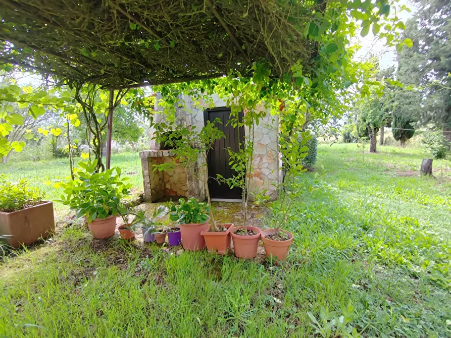 Immagine 102 di Villa in vendita  in Via Anime Sante 1 a Bassiano