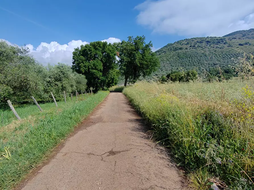 Immagine 104 di Villa in vendita  in Via Anime Sante 1 a Bassiano