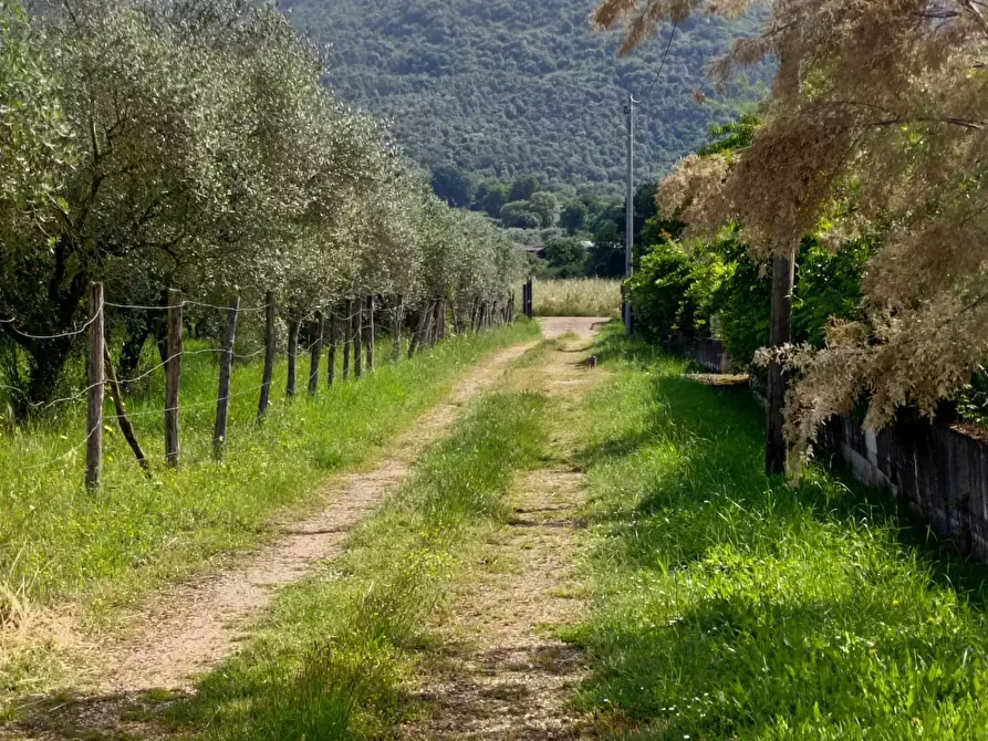 Immagine 108 di Villa in vendita  in Via Anime Sante 1 a Bassiano