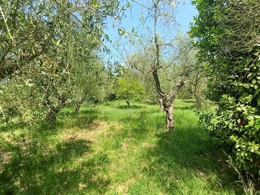 Immagine 19 di Casa indipendente in vendita  in via palombara a Arnara