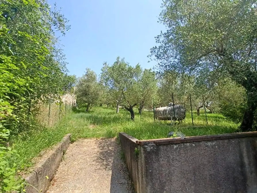 Immagine 20 di Casa indipendente in vendita  in via palombara a Arnara