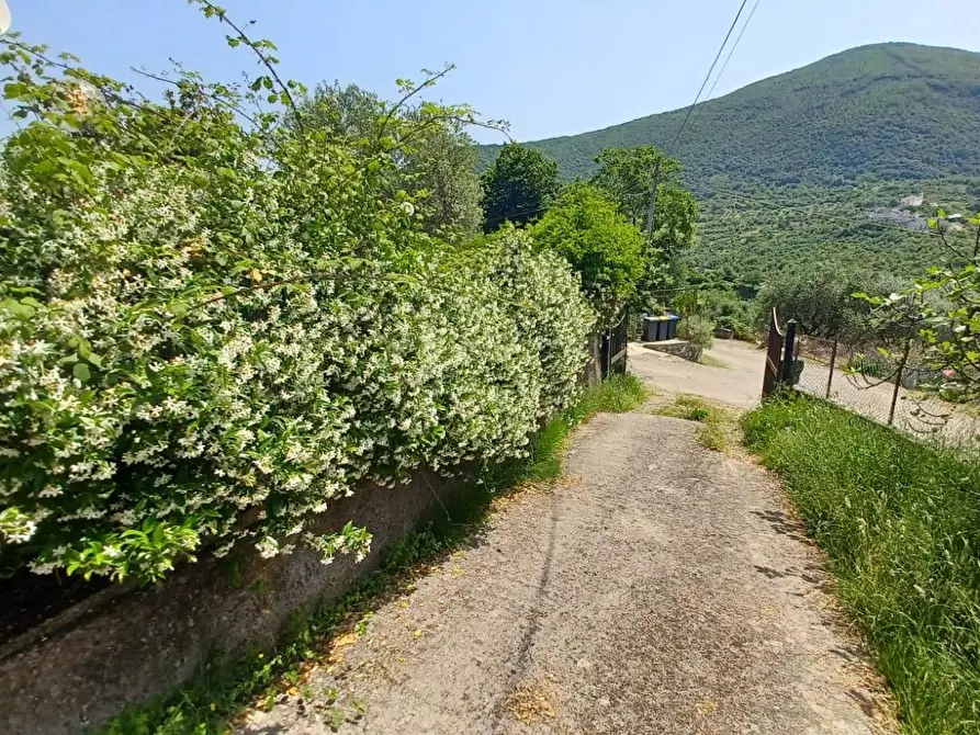 Immagine 22 di Casa indipendente in vendita  in via palombara a Arnara
