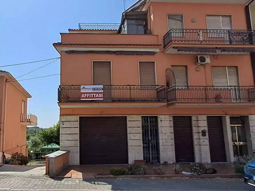 Immagine 12 di Appartamento in affitto  in viale amercia latina 243 a Frosinone