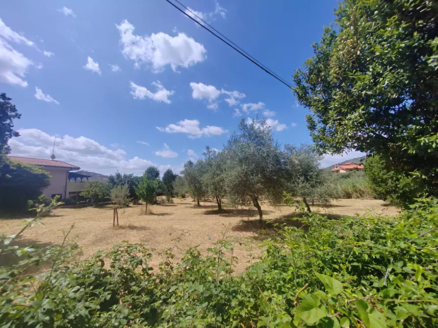 Immagine 1 di Locale commerciale in vendita  in Santa Eleuterio a Bassiano