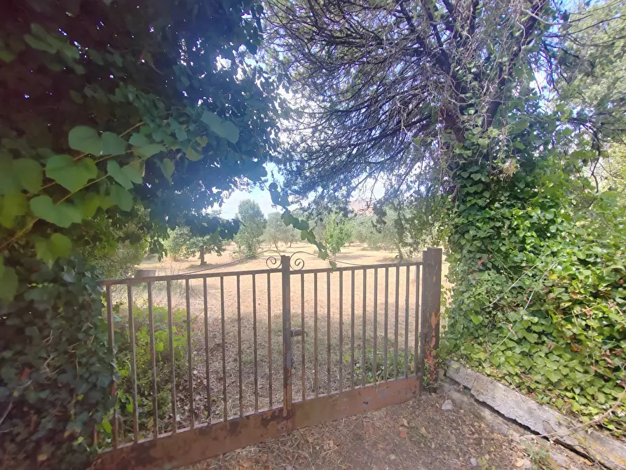 Immagine 3 di Locale commerciale in vendita  in Santa Eleuterio a Bassiano