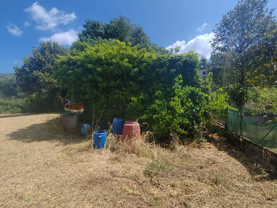 Immagine 5 di Locale commerciale in vendita  in Santa Eleuterio a Bassiano