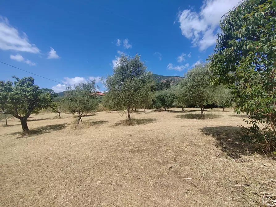 Immagine 6 di Locale commerciale in vendita  in Santa Eleuterio a Bassiano