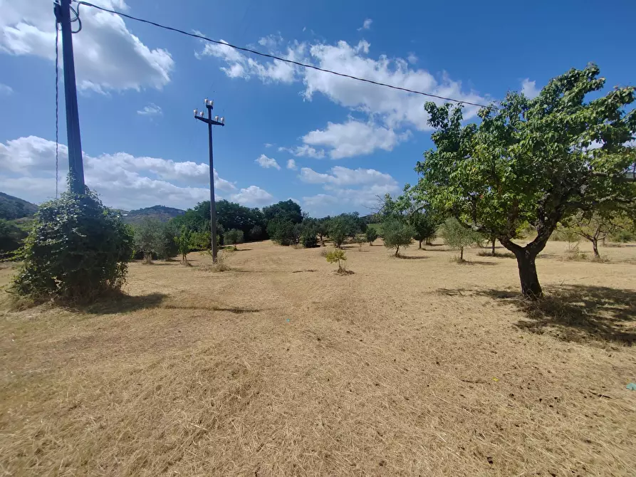 Immagine 7 di Locale commerciale in vendita  in Santa Eleuterio a Bassiano