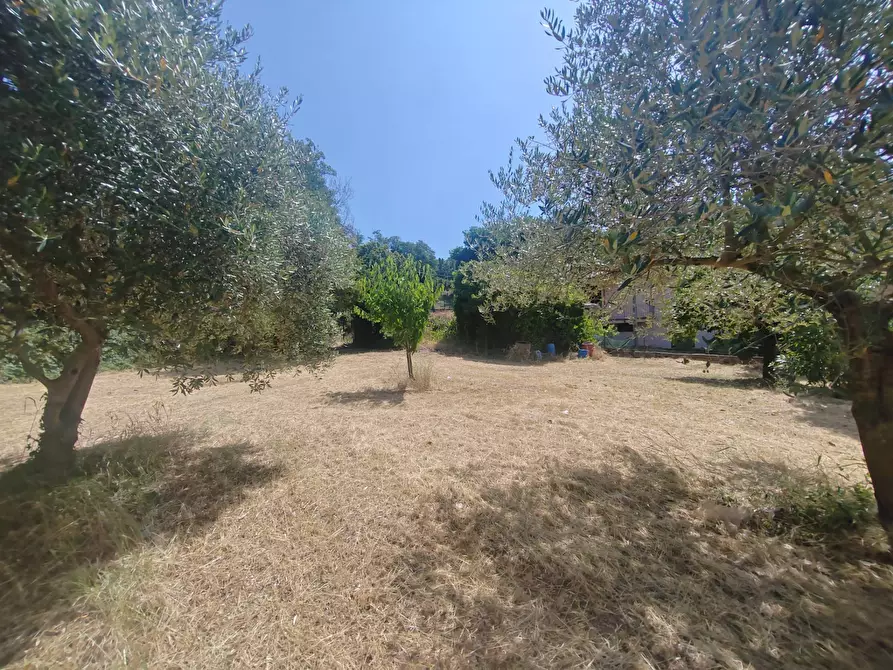 Immagine 9 di Locale commerciale in vendita  in Santa Eleuterio a Bassiano