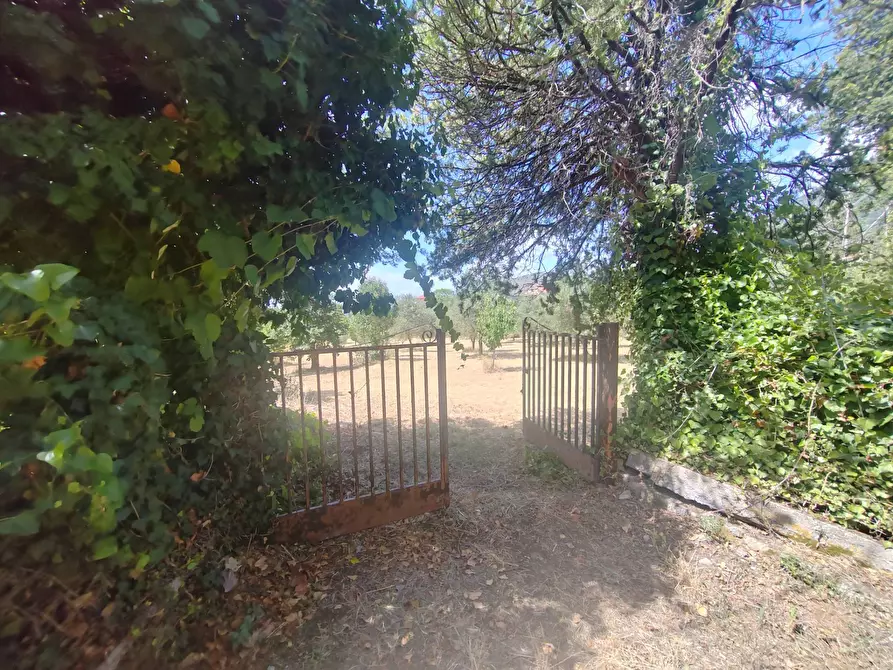 Immagine 11 di Locale commerciale in vendita  in Santa Eleuterio a Bassiano