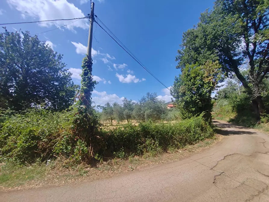 Immagine 12 di Locale commerciale in vendita  in Santa Eleuterio a Bassiano