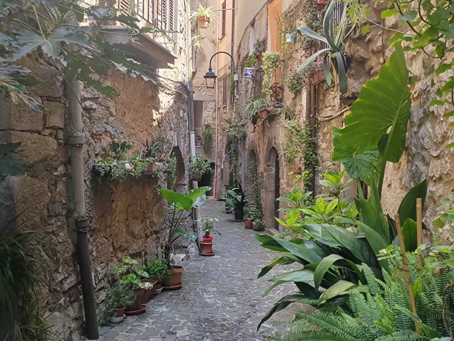 Immagine 10 di Appartamento in vendita  in Vicolo Giglio a Arnara