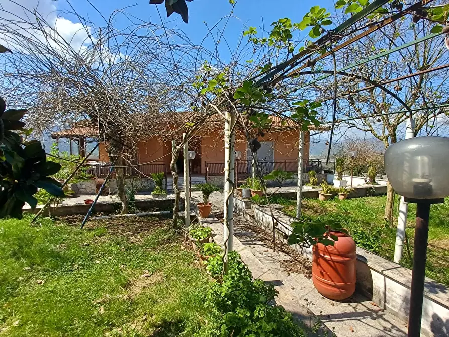 Immagine 8 di Villa in vendita  in Via Auricola a Amaseno