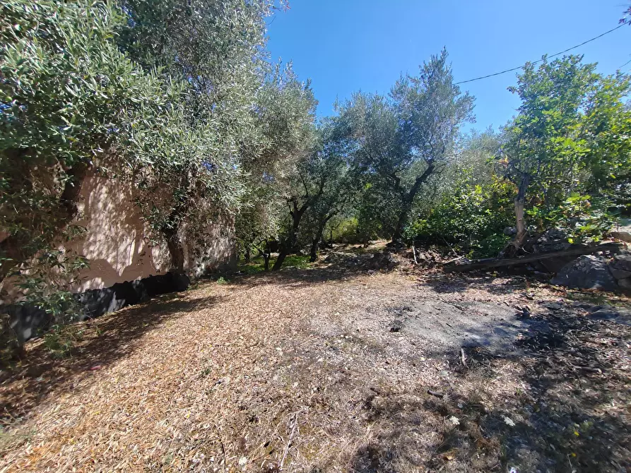 Immagine 40 di Casa indipendente in vendita  in Via Provinciale Sonninese a Bassiano