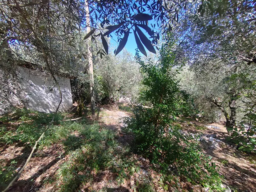 Immagine 42 di Casa indipendente in vendita  in Via Provinciale Sonninese a Bassiano