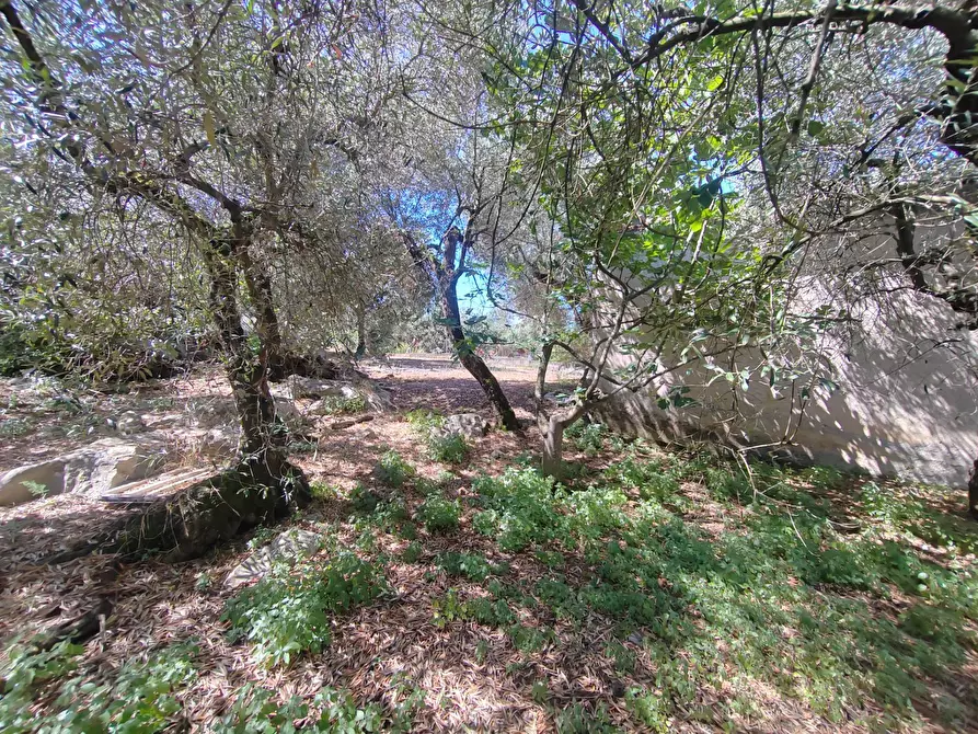 Immagine 44 di Casa indipendente in vendita  in Via Provinciale Sonninese a Bassiano