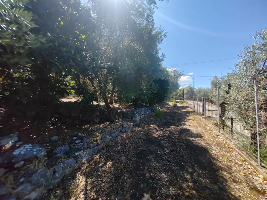 Immagine 45 di Casa indipendente in vendita  in Via Provinciale Sonninese a Bassiano