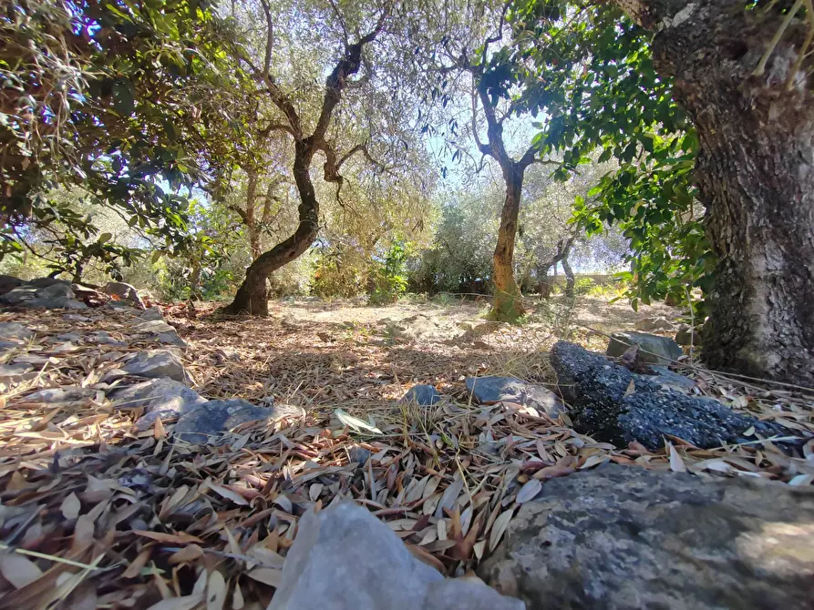 Immagine 46 di Casa indipendente in vendita  in Via Provinciale Sonninese a Bassiano