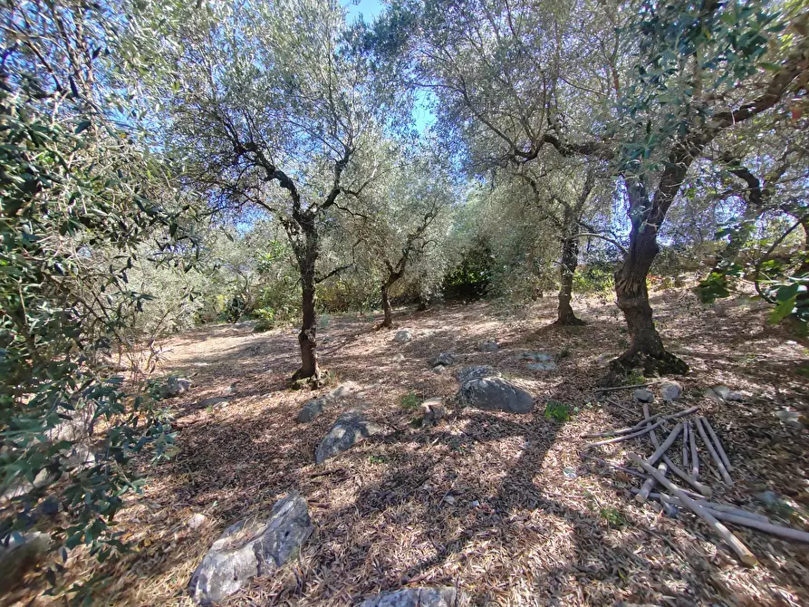 Immagine 48 di Casa indipendente in vendita  in Via Provinciale Sonninese a Bassiano