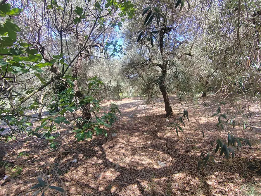 Immagine 50 di Casa indipendente in vendita  in Via Provinciale Sonninese a Bassiano