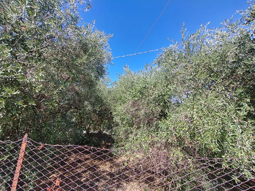 Immagine 54 di Casa indipendente in vendita  in Via Provinciale Sonninese a Bassiano