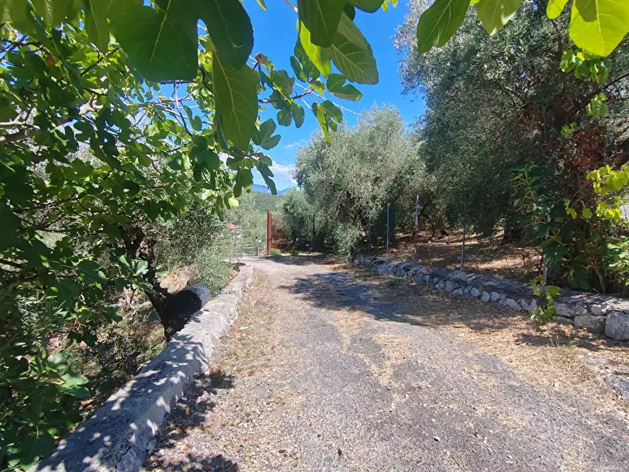 Immagine 56 di Casa indipendente in vendita  in Via Provinciale Sonninese a Bassiano