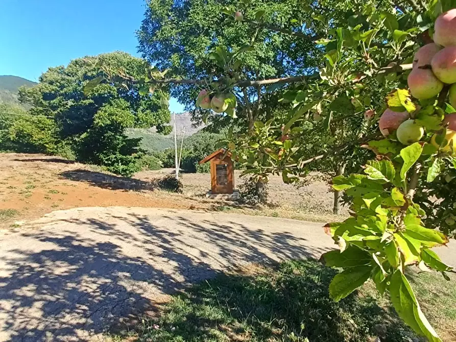 Immagine 24 di Casa semindipendente in vendita  in Vettia a Amaseno