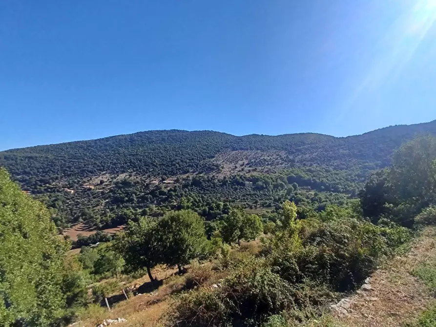 Immagine 31 di Casa semindipendente in vendita  in Vettia a Amaseno