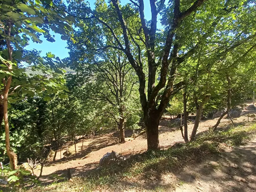 Immagine 32 di Casa semindipendente in vendita  in Vettia a Amaseno