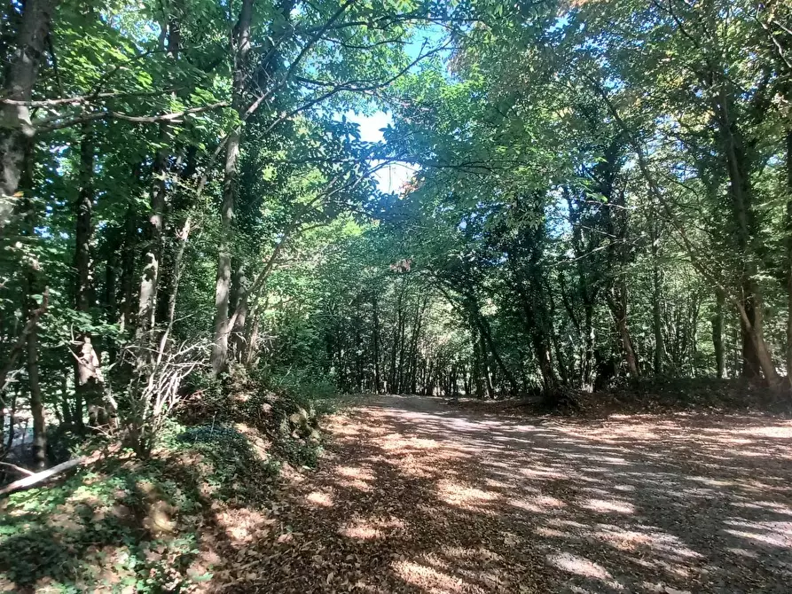 Immagine 33 di Casa semindipendente in vendita  in Vettia a Amaseno