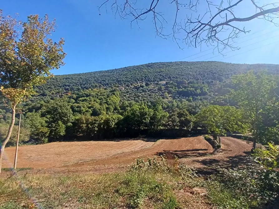 Immagine 34 di Casa semindipendente in vendita  in Vettia a Amaseno