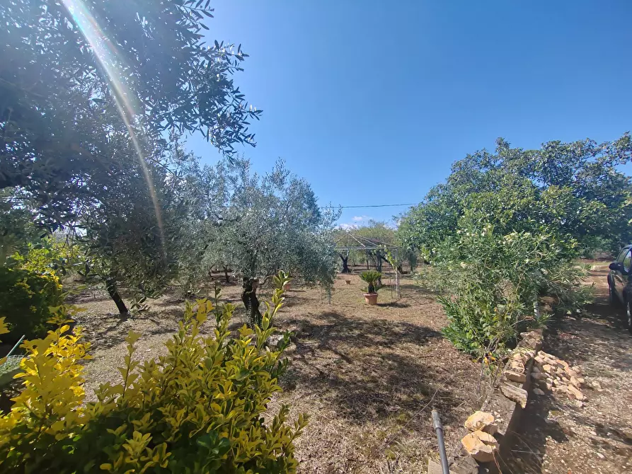 Immagine 10 di Casa indipendente in vendita  in Via Pozzo la Traversa a Bassiano