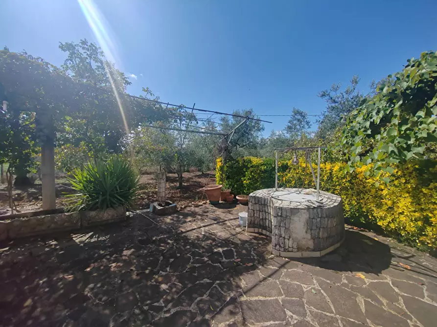 Immagine 12 di Casa indipendente in vendita  in Via Pozzo la Traversa a Bassiano