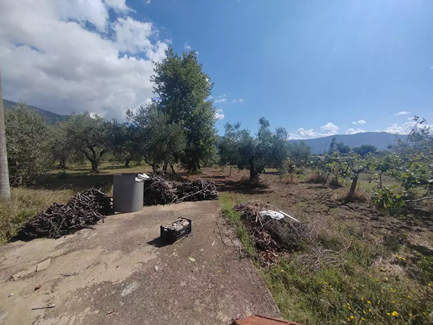 Immagine 16 di Casa indipendente in vendita  in Via Pozzo la Traversa a Bassiano