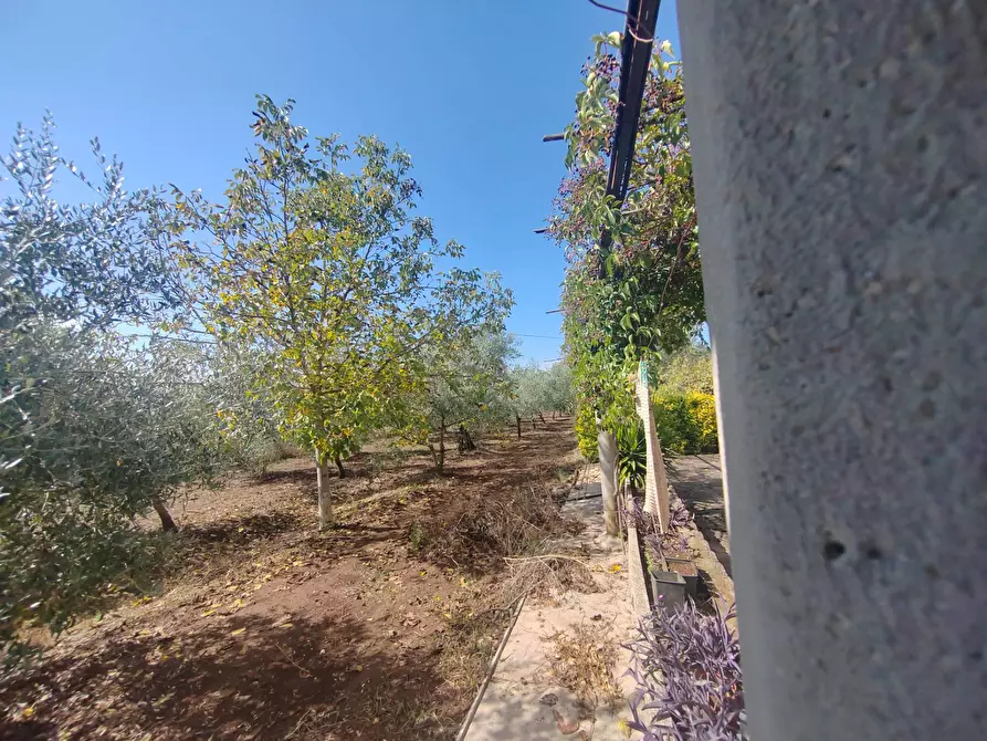 Immagine 20 di Casa indipendente in vendita  in Via Pozzo la Traversa a Bassiano