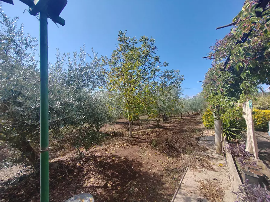 Immagine 21 di Casa indipendente in vendita  in Via Pozzo la Traversa a Bassiano