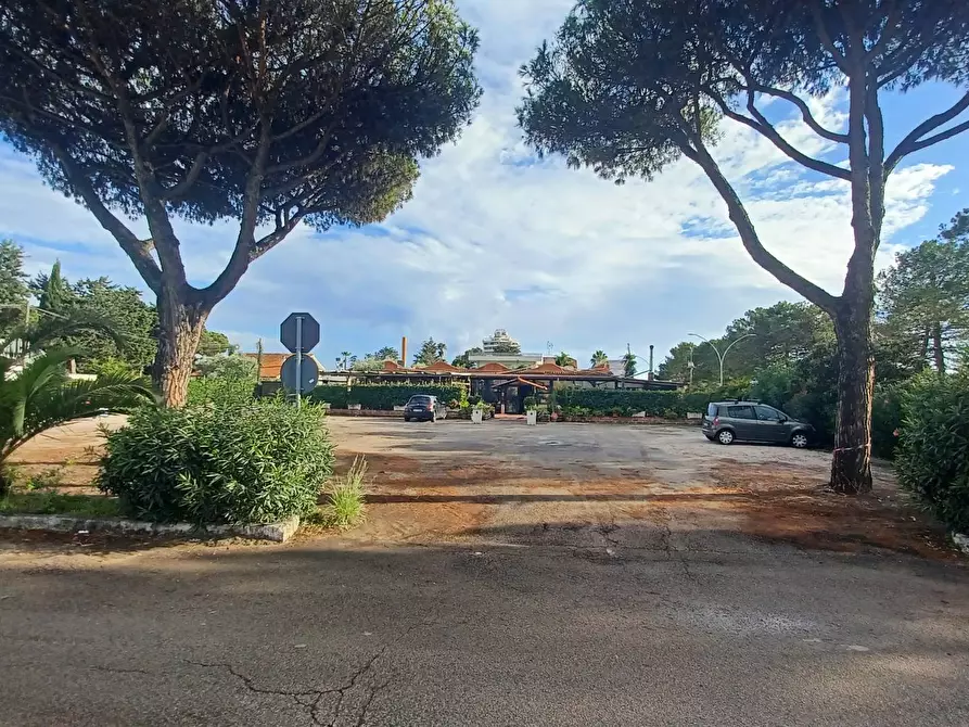 Immagine 2 di Locale commerciale in vendita  in Via Pontinia km 106500 a Terracina