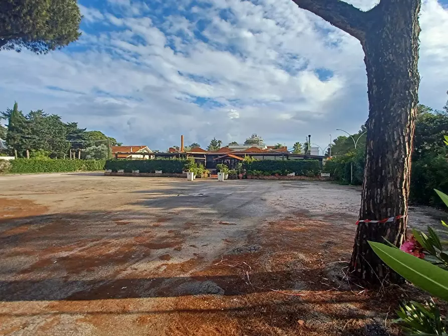 Immagine 4 di Locale commerciale in vendita  in Via Pontinia km 106500 a Terracina