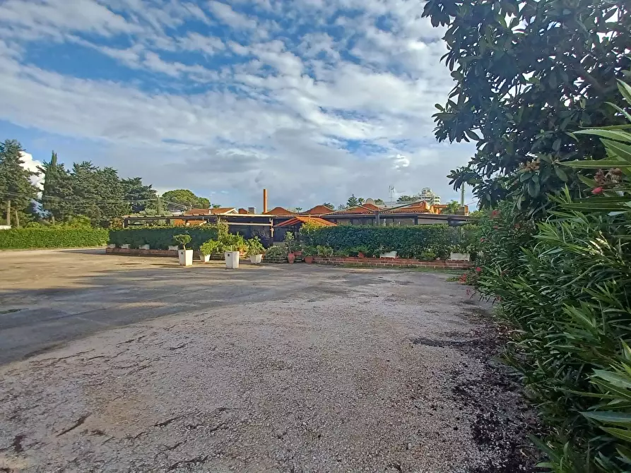 Immagine 15 di Locale commerciale in vendita  in Via Pontinia km 106500 a Terracina