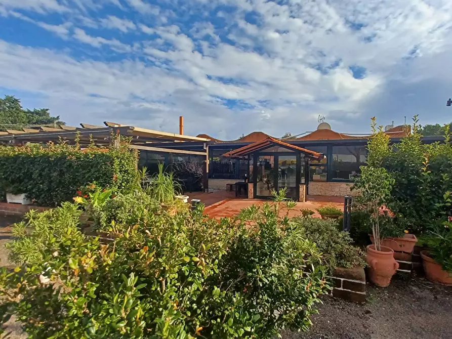 Immagine 16 di Locale commerciale in vendita  in Via Pontinia km 106500 a Terracina