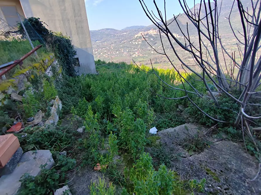 Immagine 16 di Appartamento in vendita  in Via Circonvallazione a Bassiano