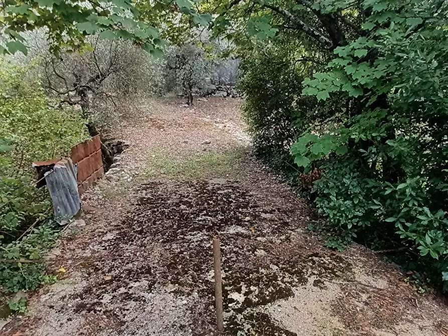 Immagine 4 di Terreno agricolo in vendita  in Valle Castagna a Bassiano