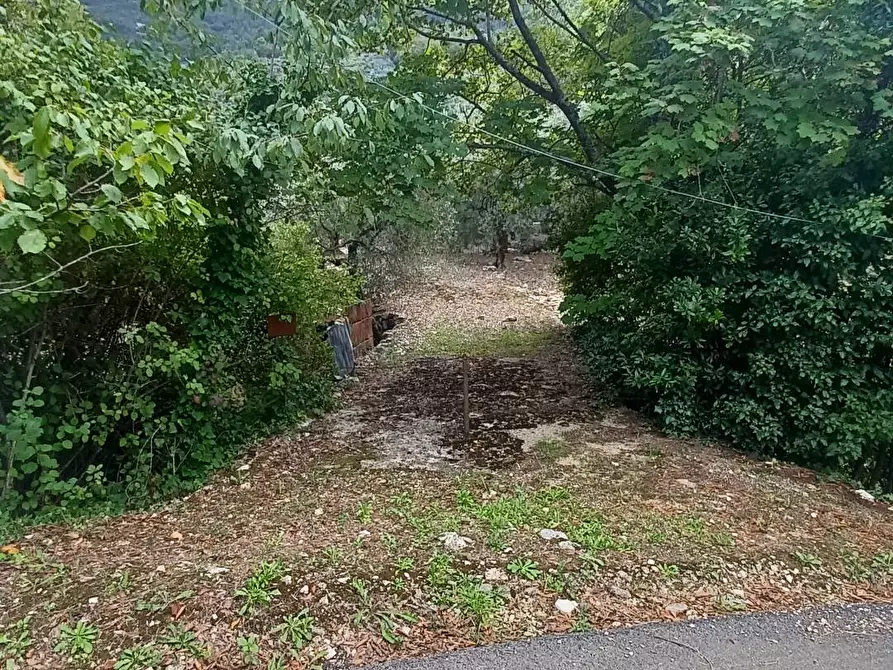 Immagine 5 di Terreno agricolo in vendita  in Valle Castagna a Bassiano