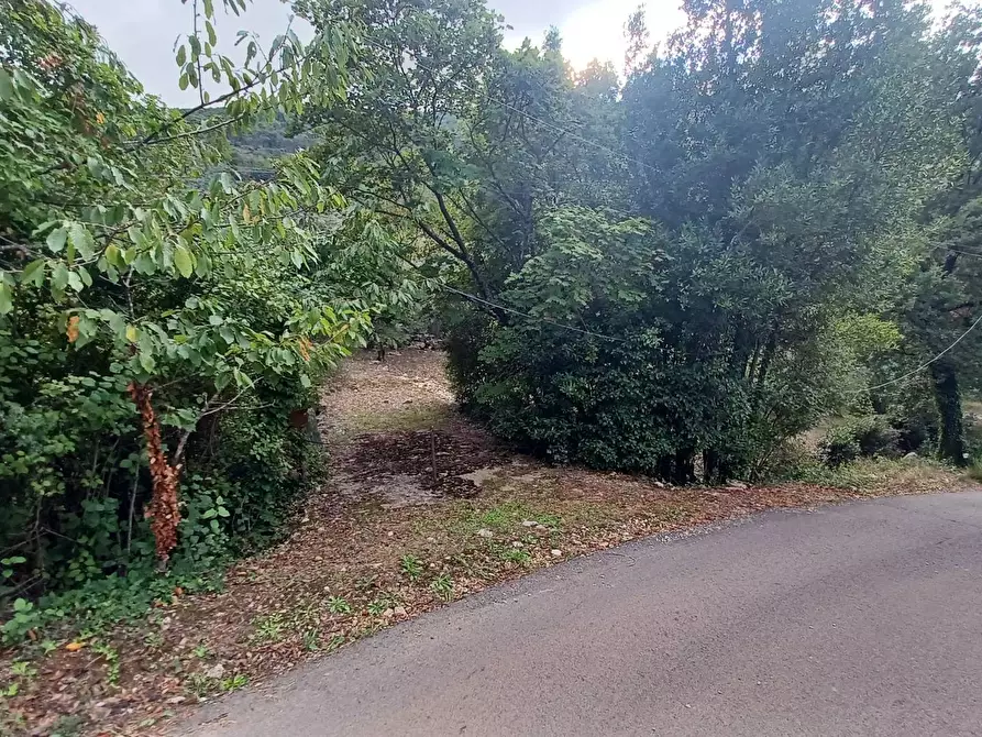 Immagine 6 di Terreno agricolo in vendita  in Valle Castagna a Bassiano