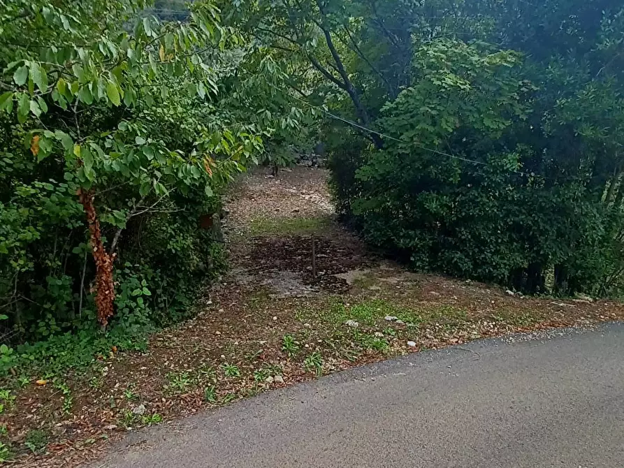 Immagine 7 di Terreno agricolo in vendita  in Valle Castagna a Bassiano