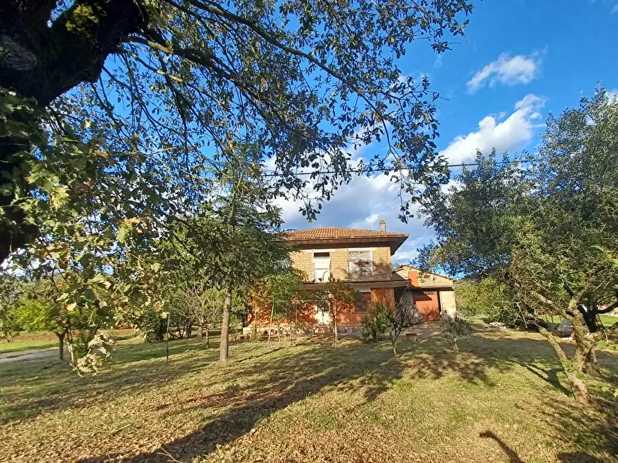 Immagine 2 di Casa indipendente in vendita  in località farneti 34 a Amaseno