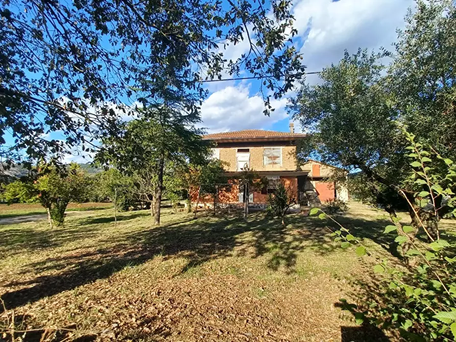 Immagine 14 di Casa indipendente in vendita  in località farneti 34 a Amaseno