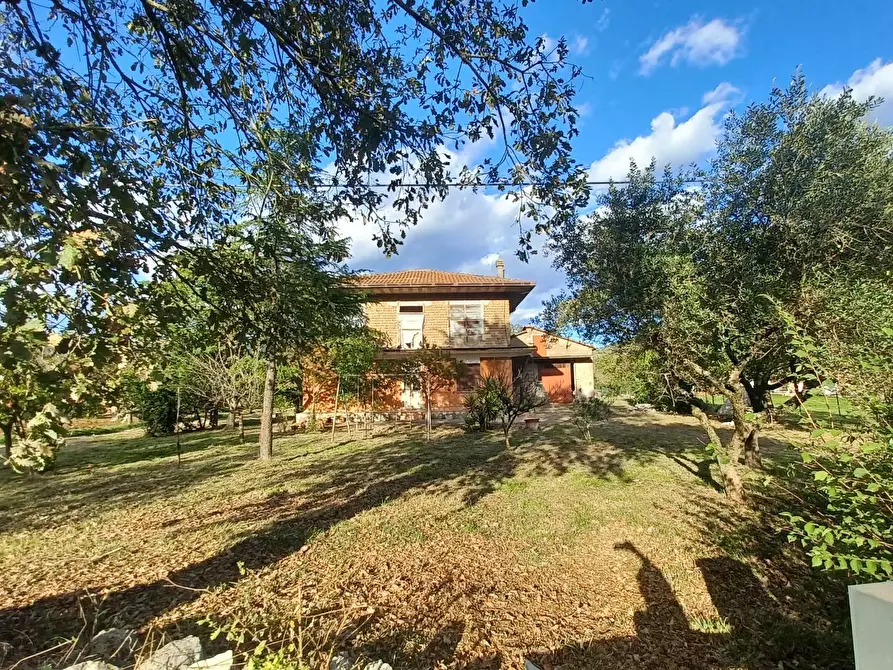 Immagine 34 di Casa indipendente in vendita  in località farneti 34 a Amaseno