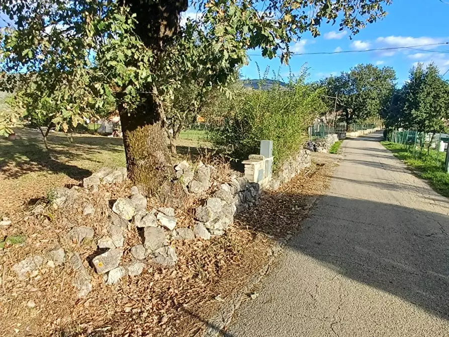 Immagine 36 di Casa indipendente in vendita  in località farneti 34 a Amaseno